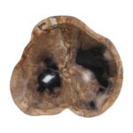Kiena Carved Petrified Wood Organic Bowl - Image 6