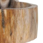 Kiena Carved Petrified Wood Organic Bowl - Image 7