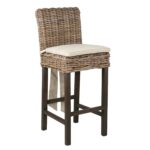 Dyer Handwoven Rattan and Teak Accent Stool with Cushion