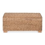 Daria Handwoven Abaca Upholstered Storage Bench - Image 8