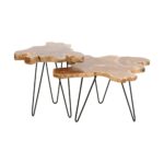 Skye Live Edge Solid Teak Wood Accent Table - Image 8